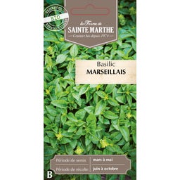 La Ferme de Sainte Marthe Bazalka 
