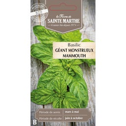 La Ferme de Sainte Marthe Albahaca 