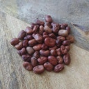 Magic Garden Seeds Semillas de Habas Bio