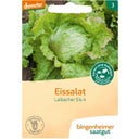 Bingenheimer Saatgut Salade Iceberg - Laibacher Eis 4