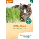 Bingenheimer Saatgut Katzengras