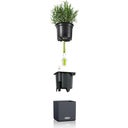Lechuza CUBE Color 16 Planter