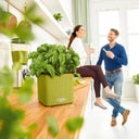 Lechuza CUBE Color 16 Planter