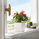 Lechuza CUBE Color 16 Planter