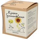 Groeiset Reuze Zonnebloem