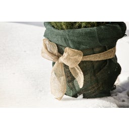 Bande Enroulée en Jute ECO - 10 cm x 25 m - Nature