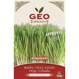 Bavicchi Bio Keimsprossen "Gerste"