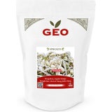 Bavicchi Semi per Germogli di Fagiolo Mungo Bio