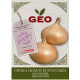 Bavicchi Bio Cebula "Stuttgart"