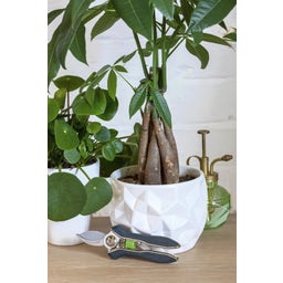 Burgon & Ball Sécateur pour Plantes d'Intérieur - 1 pcs