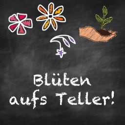 Samen Maier Bio Beet-Box - Fiori nel Piatto! - 1 set