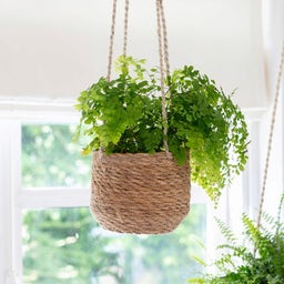 Garden Trading Viseča košara - Manjša