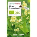 Flores Silvestres Bio - Primula Odorosa