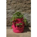 Sac de Plantation pour Fraises et Herbes - Lot de 2 - 2 pièces