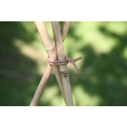 Haxnicks Woody Slim Soft Tie - 8 m