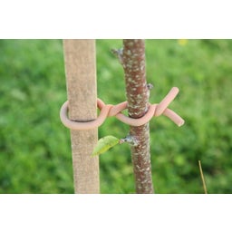 Haxnicks Woody Original Soft Tie - 5 m