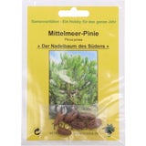 TROPICA Mittelmeer-Pinie