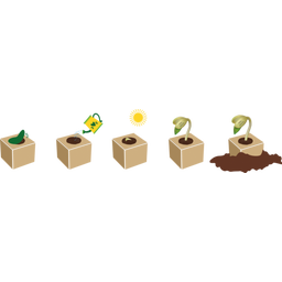 Feel Green Message Cube 