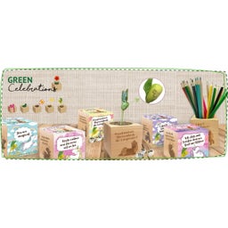 Green Celebrations - Lavanda - 1 pz.