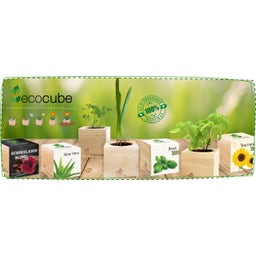 Feel Green ecocube - Luppolo - 1 pz.