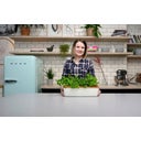 Kweektray & Plantenbak BoQube L, Crème-Koperbruin - 1 stuk