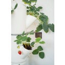 Torre de la Fresa - Sissi Strawberry Infinity - blanco