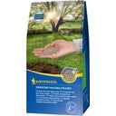 Césped para Siembra Complementaria Temprana - 1 kg