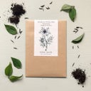 Nigella papillosa 