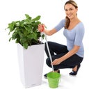 Lechuza Pompe Manuelle - 1 pcs