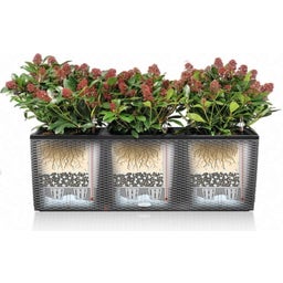 Lechuza Vase TRIO Cottage 30
