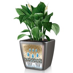 Lechuza Doniczka QUADRO Premium LS 43