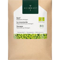 Almohadillas de Germinación Microgreen - Mostaza - 1 pieza