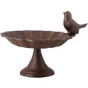 Bird Bath
