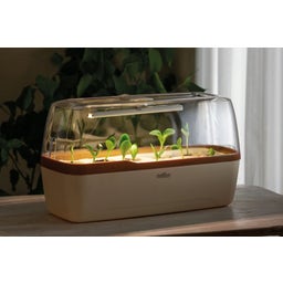 Romberg BoQube L PLUS LED - Crema e Rame - 1 pz.