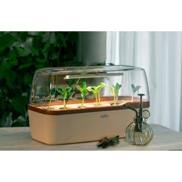 Romberg BoQube L PLUS LED - Crema e Rame - 1 pz.