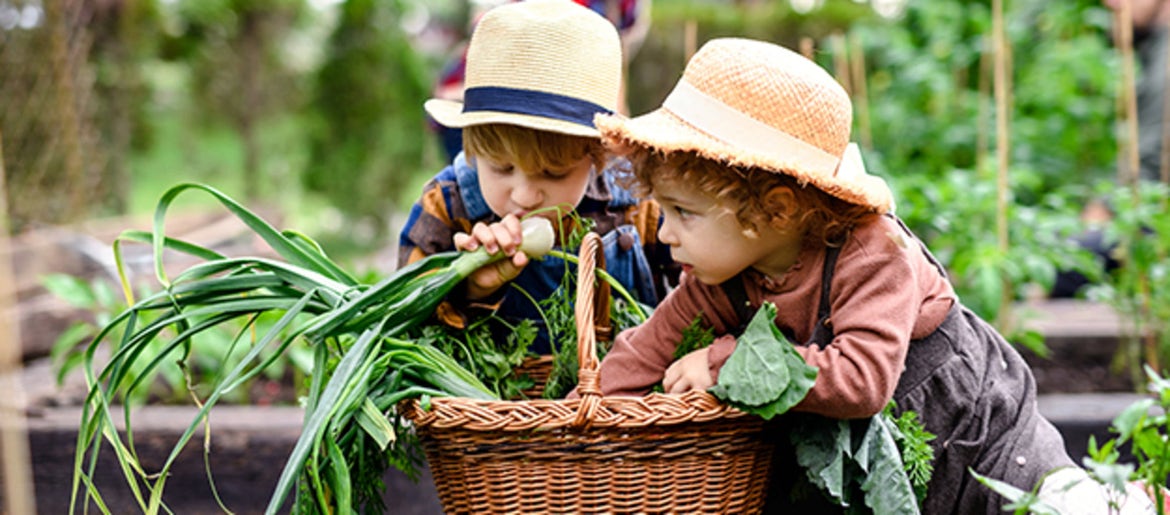 Conseils pour les jardiniers en herbe