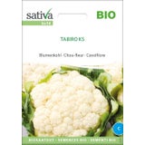 Sativa Ekološka cvetača "Tabiro KS"