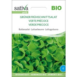 Organic Butterhead Lettuce 
