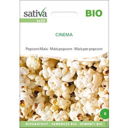 Sativa Organic Popcorn Corn 