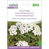 Herbes Aromatiques Bio "Achillée Millefeuille"