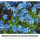 growbro Vergissmeinnicht Anzucht-Set - 1 Set