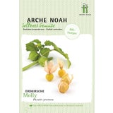 Arche Noah Cereza Ecológica "Molly"