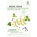 Arche Noah Haricot à Rames 