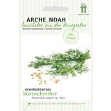 Arche Noah Hinojo Dulce 'Steinschreiber' Bio