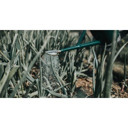 Outdoor-zalivalka 