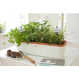 Kweektray & Plantenbak BoQube L, Crème-Koperbruin - 1 stuk