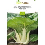 Bionana Bio ázijský šalát "Pak Choi"