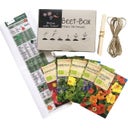 Samen Maier Bio Beet-Box - Fiori nel Piatto! - 1 set