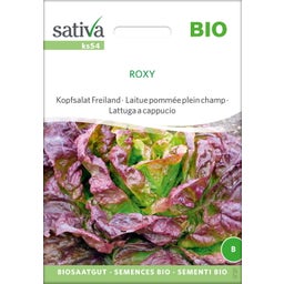 Sativa Bio Kopfsalat Freiland 