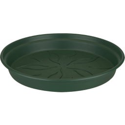 elho green basics saucer - verde - 22 cm